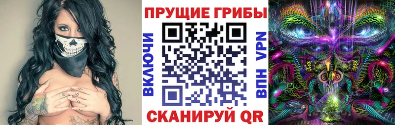 Псилоцибиновые грибы Psilocybe  Красноуфимск 